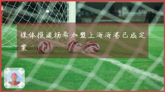 媒体报道杨希加盟上海海港已成定案