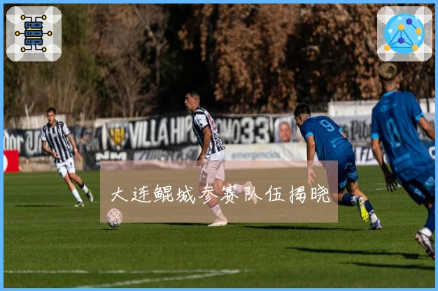 大连鲲城参赛队伍揭晓