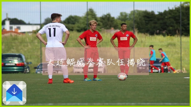 大连鲲城参赛队伍揭晓